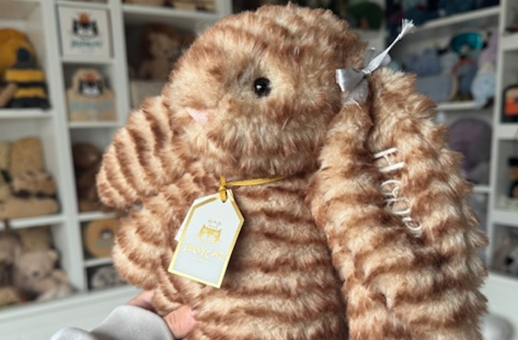 Hope's favourite Bashful Bunny. Image Hope Roberts